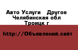 Авто Услуги - Другое. Челябинская обл.,Троицк г.